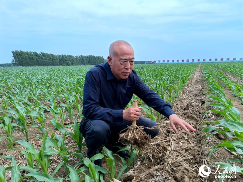 王贵满介绍“梨树模式”。人民网记者 马俊华摄